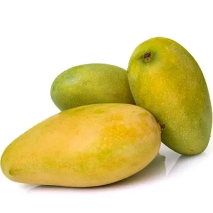 আম্রপালি আম (Amrapali Mango)