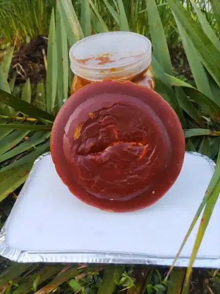 খেজুরের গুড় (পাটালি)